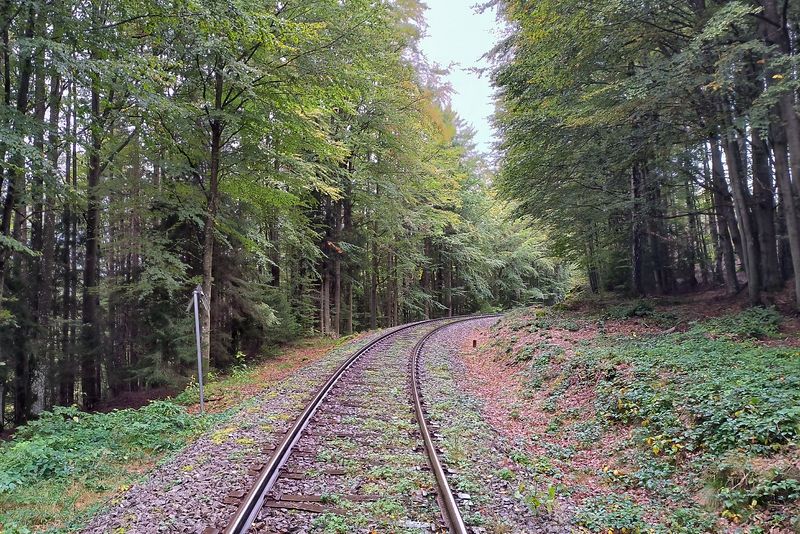 Eine Fahrt mit der Bahn wäre bestimmt auch schön Eine Fahrt mit der Bahn wäre bestimmt auch schön